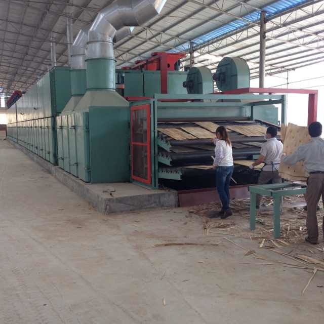 Máquina de madera contrachapada de la mejor calidad, secador de prensa en caliente para chapa de núcleo